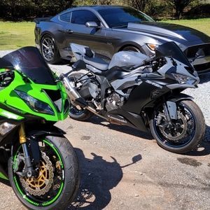 Meet your Posher, Holly